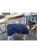Resim Buzağı Battaniyesi 527720393 