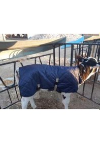 Resim Buzağı Battaniyesi 527720393 