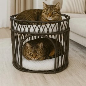 Resim Tasaryum Çift Katlı Kedi Yatağı Kedi Ranzası, İskandinav Kedi Evi Antrasit 