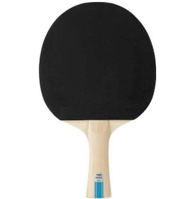 Resim Stiga Bat Instınct Hobby Masa Tenis Raketi 1210-6318-01 