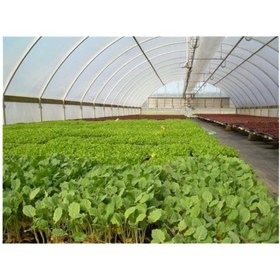 Resim Emek 8 M X 23 M 350 Mikron Eva Uv Katkılı 36 Aylık Sera Naylonu Kalın Sera Örtüsü Branda 