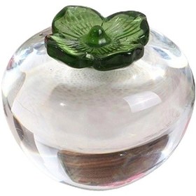 Resim Suntek Magideal Festival Mağaza Otel Temizle Için Kristal Temizlemek 