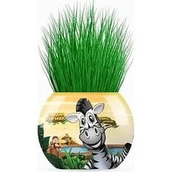 Resim SDT Group Mutlu Orman Temalı Xl Çim Adam 6'lı Set - Çocuklar Için Eğitici ve Eğlenceli Bitki Yetiştirme Kiti 