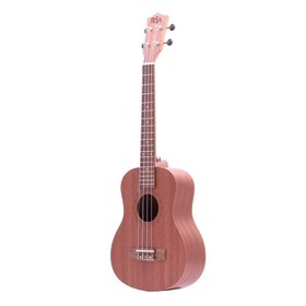 Resim Rosa RU-01T Tenor Ukulele 