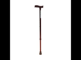 Resim Golfi PR-102 Alüminyum Baston(Bronz) 