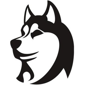 Resim Kurt Oto Motor Laptop Duvar Folyo Sticker 40 X 52 Cm 