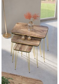 Resim Zigon Sehpa Kare Çift Gold Ceviz Tel 