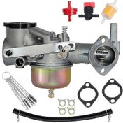 Resim 491590 Karbüratör Uyumlu 191700 192700 193700 Motor Serisi Uyumlu 390811 392152 491029 Fg2025031702083 A2848 