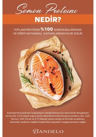 Resim Somonlu Kısırlaştırılmış Yetişkin Kedi Konserve Yaş Maması - Jöle İçinde Parça Etli, 400 Gr X 12 Adet 