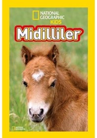 Resim National Geographic Kids - Midilliler - Laura Marsh - Beta Kids 