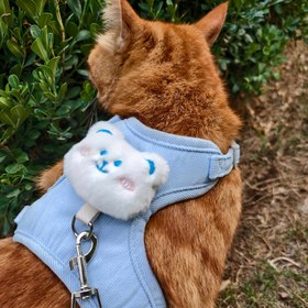 Resim İki Renk Mevcut, En Uzun 120cm/47.24 İnç Sevimli Köpek Kedi Tasma Yumuşak ve Orta Boy Şık Yürüyüş Dengesi Kayışı Kaymaz Anti-Hırsızlık Pet Güvenlik Kemer Açık Hava Kullanımı İçin, Küçük Kediler İçin Kedi Tasma, Kayıp Önleyici Göğüs Kayışı Zincir ile Kedinizi Güvenli Yürüyüşte Tutun 