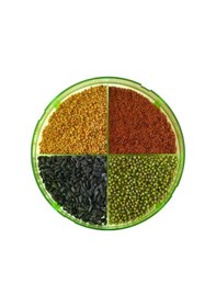 Resim GEO Filizlendirme Rafları 