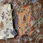 Resim 60'lı Paket Vintage Botanik Japon Kağıdı Çıkartmaları, Karışık Çiçek ve Parıltı Dekoru, Mat Kaplama, Kendinden Yapışkanlı, Düzensiz Şekiller, Scrapbooking, El Sanatları, Ahşap Yüzeyler, Tek Kullanımlık, Sanatsal Dekorasyon 