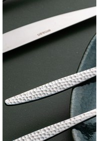 Resim Emsan Okaliptus 36 Parça 6 Kişilik Çatal Kaşık Bıçak Takımı Kutulu Gümüş 