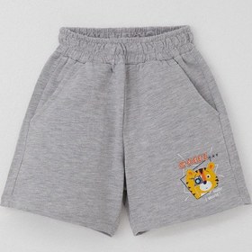Resim Breeze Girls & Boys Erkek Çocuk Şortlu Takım Fotoğrafçı Aslancık Baskılı 1-4 Yaş, Lacivert Lacivert 