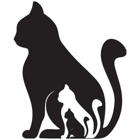 Resim Kedi Ailesi Oto-motor-laptop-duvar-dekor 20 X 24 Cm 