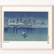 Resim Ushibori, Poster 