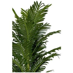 Resim Areka Palmiyesi 170cm Metal Siyah Gümüş Darbuka Saksıda H 