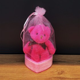 Resim Pembe Hediyelik Kese İçinde Ayıcık 