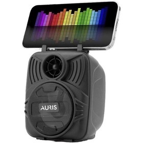 Resim Aurıs SP21 3" Bluetooth Hoparlör 