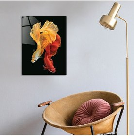Resim Decorıta Hayvanlar | Cam Tablo | Balık 