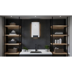 Resim Demirdöküm DT4 Basic 65 Litre Termosifon 