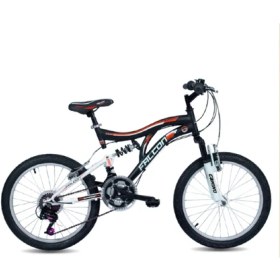 Resim Falcon Camino 