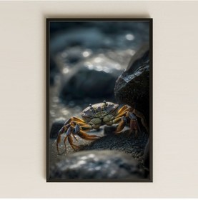 Resim Kayalıkta Yürüyen Yengeç Temalı Realistik Pleksi Tablo 