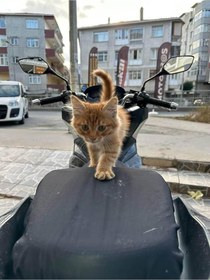 Resim Motobros Rmg Ranger 100 ile uyumlu Motosiklet Siyah Sele Kılıfı Örtüsü Brandası-123732 