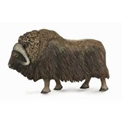 Resim Collecta Misk Sığırı 