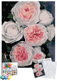 Resim Sayılarla Boyama Seti 40 x 50 CM Tuval Şasesine Gerili Beyaz Güller 