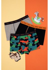 Resim U.S. Polo Assn. Erkek Çocuk 3'lü Boxer 50301739-VR033 