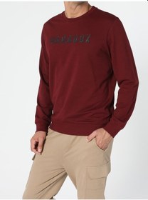 Resim Colin's Regular Fit Kabartmalı Yazı Turuncu Erkek Sweatshirt cl1055790_Q1.V2_COR Kahverengi 