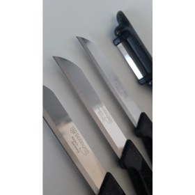 Resim Solingen 3 Adet Simli Siyah Meyve Bıçağı ve 1 Adet Topuz Saplı Yan Soyacak Seti 