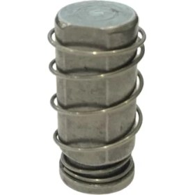 Resim Moonstar Ütü Solenoid Valf Çekirdeği Ve Yayı 