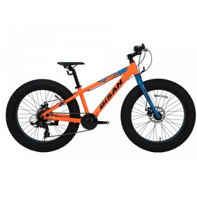 Resim Bisan Skater Fatbike 