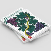 Resim Öküzgözü & Boğazkere: Anadolu'dan Geleceğe Miras 