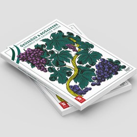 Resim Öküzgözü & Boğazkere: Anadolu'dan Geleceğe Miras 