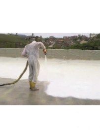 Resim Pamukkale Dryfix POLYMER100 Polimer Esaslı Su Yalıtım Malzemesi 18 kg Beyaz 