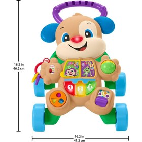 Resim Fisher Price Eğitici Köpekçik Yürüteç FTG10 Teşhir 