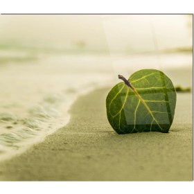 Resim Olinpa Cam Ocak Arkası Koruyucu | Yaprak Desenli 