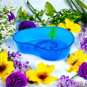 Resim Girist Pet Kaplumbağa Bahçesi Kaplumbağa Havuzu 30 x 21 x 7 CM Mavi 