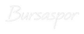 Resim Özel Tasarım : Bursaspor 