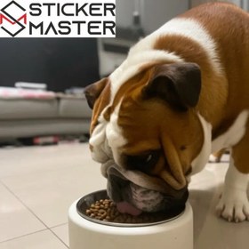 Resim Tekli Beton Mama Kabı Çelik Kase Kedi ve Köpek için | Sticker Master - Siyah / Beton 