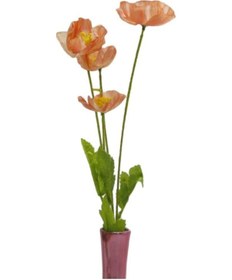 Resim T.concept Gelincik Çiçeği Somon 