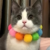 Resim 1 adet Çok Renkli Naylon Pet Kürk Topu Kolye, Kediler ve Köpekler için Uyumlu, Dekoratif Plüş Kolye, Fotoğraf Aksesuarları için Çok Uygun, Evcil Hayvan Aksesuarları 