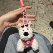 Resim OIMG Yeni 1 Adet Karikatür Çanta Çekicilik Anahtarlık Sevimli Iyi Şanslar Hediye Peluş Oyuncaklar Bebekler (Yurt Dışından) 