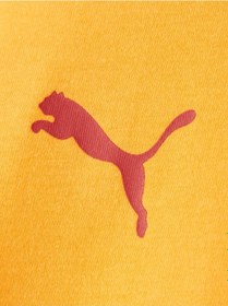 Resim Gsstore Galatasaray Puma Çocuk T-shirt 78291306 Sarı 