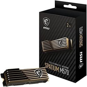 Resim MSI SPATYUM M570 PCIe 5.0 NVMe M.2 2 TB HS Dahili SSD PCIe Gen5 NVMe (SPATYUM M570 PCIe 5.0 NVMe M.2 2 TB HS) 