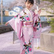 Resim Kızlar Tavuskuşu Serisi Japon Kimonu Dokuz Katlı Kollu Geleneksel Giyim + Bel Bandı + Sırt Yastığı Üç Parça Takım Tavus kuşu çiçeği rengi beş renge sahiptir ve giysilere farklı bir güzellik katmaktadır. Klasik bir Japon geleneksel tarzına sahiptir ve giyildiğinde yumuşak ve rahat hissettirir. Çin Boyutu, Lütfen Boyut Rehberini Dikkatlice Kontrol Edin 